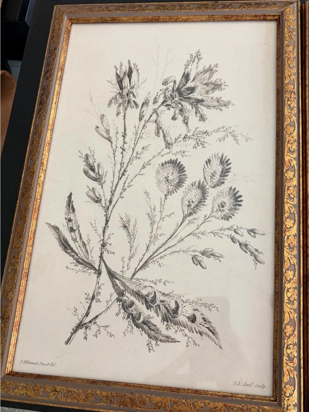 Petal Lane Framed Botanical Wall Art Pair in Gold and Black
